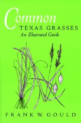 Hierbas comunes de Texas: Guía ilustrada - Common Texas Grasses: An Illustrated Guide