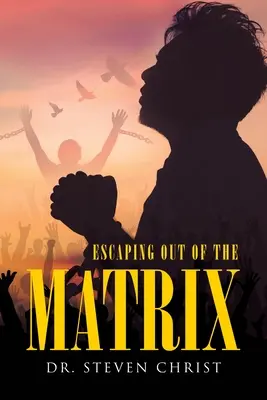 Escapar de la Matrix - Escaping Out of the Matrix