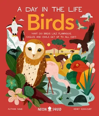 Aves (un día en la vida): ¿Qué hacen todo el día los flamencos, los búhos y los pingüinos? - Birds (a Day in the Life): What Do Flamingos, Owls, and Penguins Get Up to All Day?