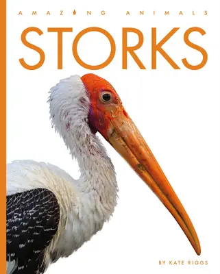 Cigüeñas - Storks