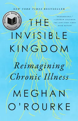 El reino invisible: Reimaginar la enfermedad crónica - The Invisible Kingdom: Reimagining Chronic Illness