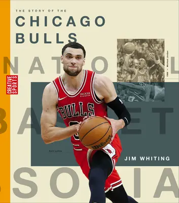 La historia de los Chicago Bulls - The Story of the Chicago Bulls