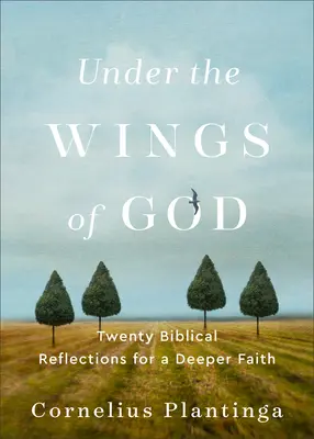 Bajo las alas de Dios: Veinte reflexiones bíblicas para una fe más profunda - Under the Wings of God: Twenty Biblical Reflections for a Deeper Faith