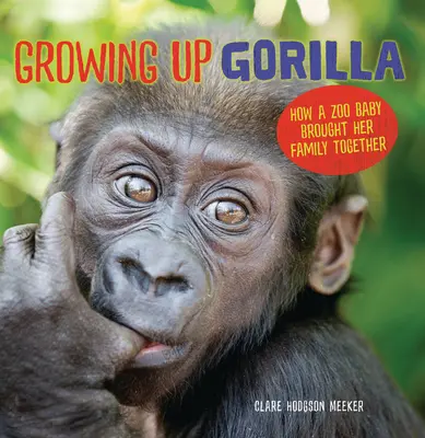 Crecer como gorila: cómo una cría de zoo unió a su familia - Growing Up Gorilla: How a Zoo Baby Brought Her Family Together
