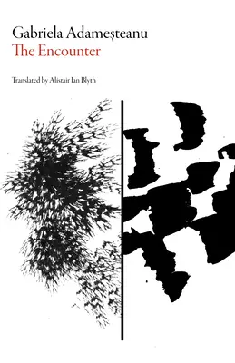 El encuentro - The Encounter