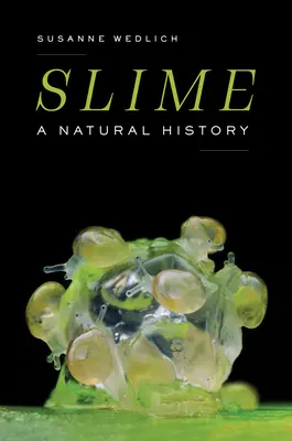 Limo: Una historia natural - Slime: A Natural History