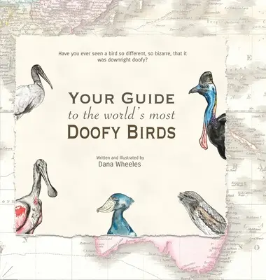 Guía de los pájaros más raros del mundo - Your Guide to the World's Most Doofy Birds