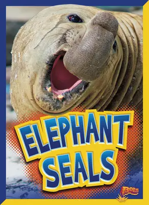 Elefantes marinos - Elephant Seals