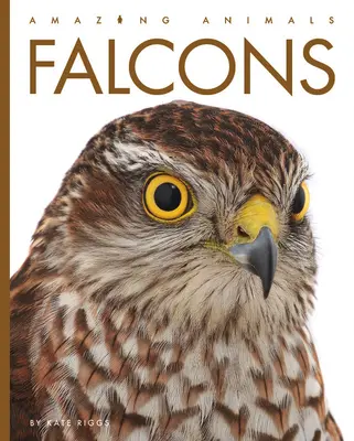 Halcones - Falcons