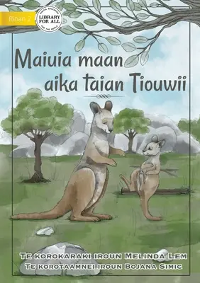 La Vida de un Joey - Maiuia maan aika taian Tiouwii (Te Kiribati) - Life of a Joey - Maiuia maan aika taian Tiouwii (Te Kiribati)