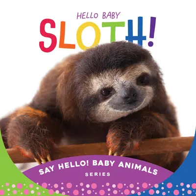 ¡Hello Baby Sloth! - Hello Baby Sloth!