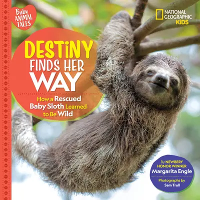 El destino encuentra su camino: cómo aprendió a ser salvaje una cría de perezoso rescatada - Destiny Finds Her Way: How a Rescued Baby Sloth Learned to Be Wild