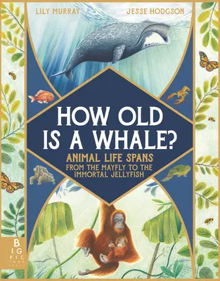 ¿Cuántos años tiene una ballena? La vida de los animales: de la mosca de mayo a la medusa inmortal - How Old Is a Whale?: Animal Life Spans from the Mayfly to the Immortal Jellyfish