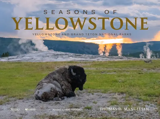 Estaciones de Yellowstone: Parques Nacionales de Yellowstone y Grand Teton - Seasons of Yellowstone: Yellowstone and Grand Teton National Parks