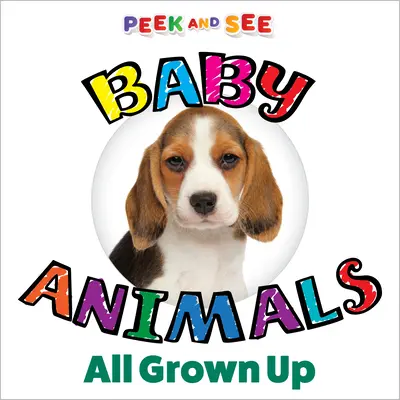 Mi primer libro de animales ABC Mis primeros colores: aprende sobre nuestro colorido mundo - Peek and See Baby Animals All Grown Up