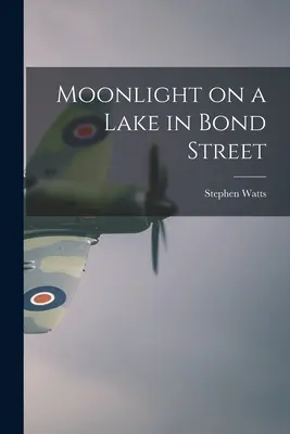 Luz de luna en un lago de Bond Street - Moonlight on a Lake in Bond Street