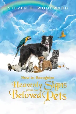 Cómo reconocer las señales celestiales de nuestras queridas mascotas - How to Recognize Heavenly Signs from Our Beloved Pets