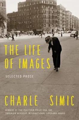 La vida de las imágenes - The Life of Images