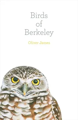 Aves de Berkeley - Birds of Berkeley