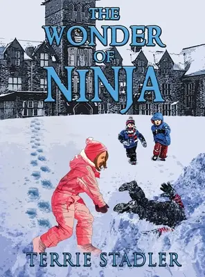 La maravilla de Ninja - The Wonder of Ninja