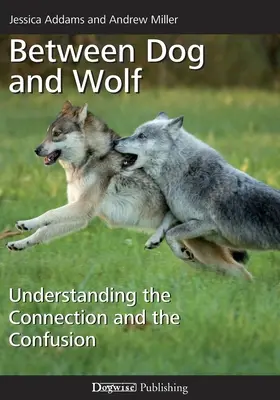 Entre el perro y el lobo: Comprender la conexión y la confusión - Between Dog and Wolf: Understanding the Connection and the Confusion