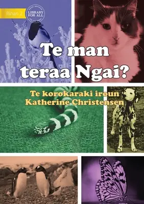 ¿Qué animal soy? - Te man teraa Ngai (Te Kiribati) - What Animal am I? - Te man teraa Ngai? (Te Kiribati)
