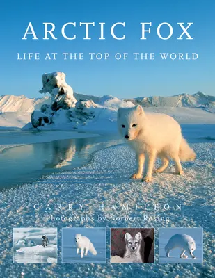 Zorro ártico: La vida en la cima del mundo - Arctic Fox: Life at the Top of the World