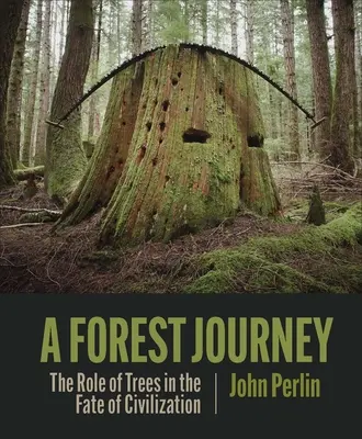 Un viaje por el bosque: El papel de los árboles en el destino de la civilización - A Forest Journey: The Role of Trees in the Fate of Civilization