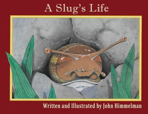 La vida de una babosa - A Slug's Life