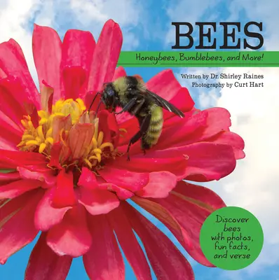 Abejas: abejas, abejorros y mucho más - Bees: Honeybees, Bumblebees, and More!