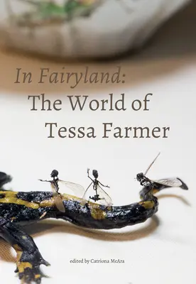 En el país de las hadas: El mundo de Tessa Farmer - In Fairyland: The World of Tessa Farmer