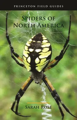 Arañas de Norteamérica - Spiders of North America