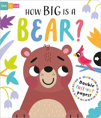 ¿Qué tamaño tiene un oso? - How Big Is a Bear?