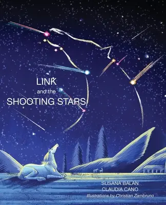 Link y las estrellas fugaces - Link and the Shooting Stars