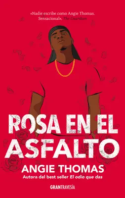 Rosa En El Asfalto