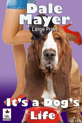 Es una vida de perros Gran formato - It's a Dog's Life: Large Print