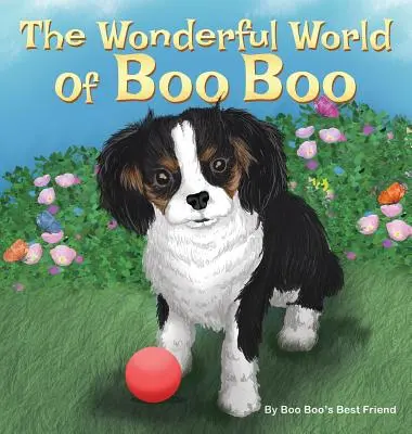 El maravilloso mundo de Boo Boo - The Wonderful World Of Boo Boo