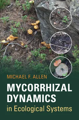 Dinámica de las micorrizas en los sistemas ecológicos - Mycorrhizal Dynamics in Ecological Systems