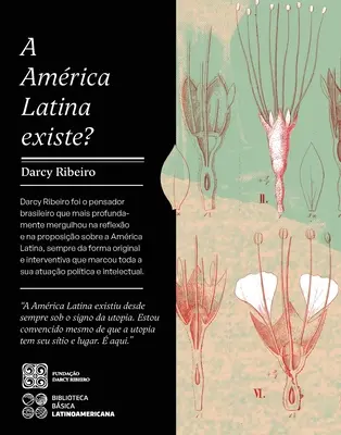 ¿América Latina existe? - A Amrica Latina Existe?