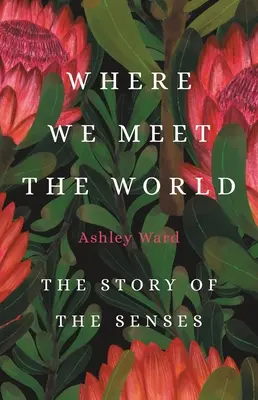 Donde nos encontramos con el mundo: La historia de los sentidos - Where We Meet the World: The Story of the Senses