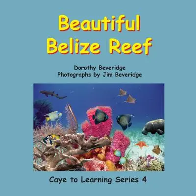 El bello arrecife de Belice - Beautiful Belize Reef