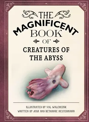 El Magnífico Libro de las Criaturas del Abismo: (Libros de Animales del Océano para Niños, Libros de Historia Natural para Niños) - The Magnificent Book of Creatures of the Abyss: (Ocean Animal Books for Kids, Natural History Books for Kids)