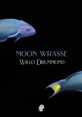 El pez luna - Moon Wrasse