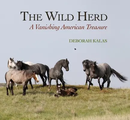 La manada salvaje: Un tesoro americano en vías de desaparición - The Wild Herd: A Vanishing American Treasure