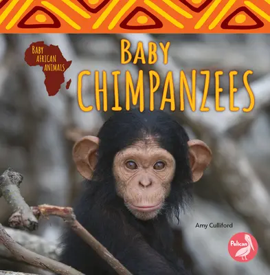 Chimpancés bebés - Baby Chimpanzees