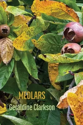 Nísperos - Medlars