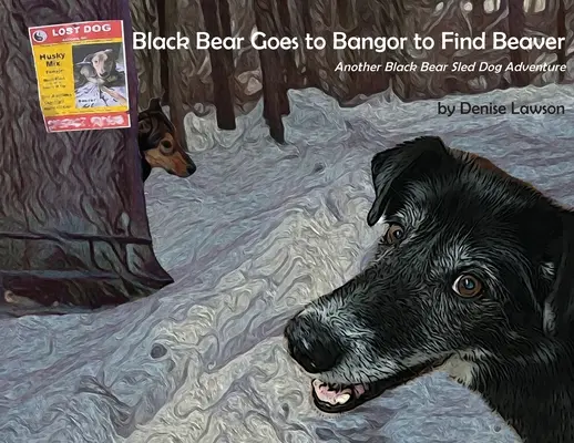 El oso negro va a Bangor en busca del castor: Otra aventura con perros de trineo - Black Bear Goes to Bangor to Find Beaver: Another Black Bear Sled Dog Adventure