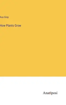 Cómo crecen las plantas - How Plants Grow