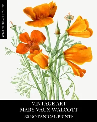 Arte Vintage: Mary Vaux Walcott 30 Botánico Impresiones - Vintage Art: Mary Vaux Walcott 30 Botanical Prints