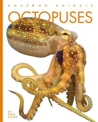 Pulpos - Octopuses